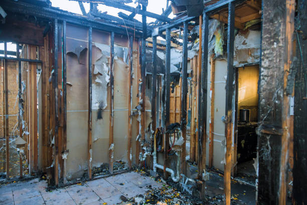 Professional Odor Removal technician working in Burkittsville, MD