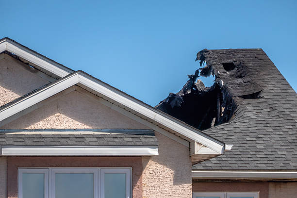 Top rated local Odor Removal specialists in Burkittsville, MD